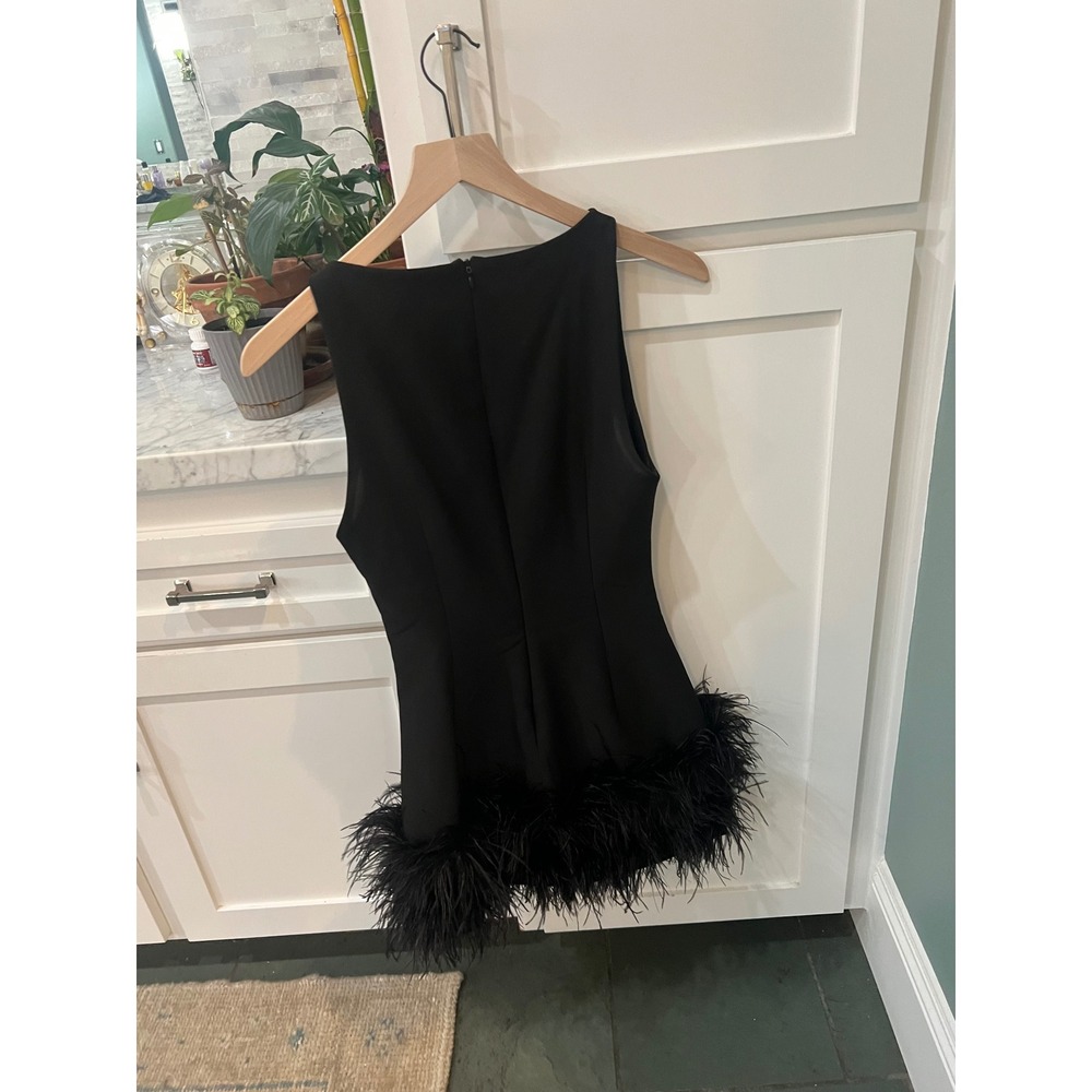 Zara Black Sleeveless Feather Trim Mini Viral  Dress Small Cockail Party LBD - Picture 2 of 5